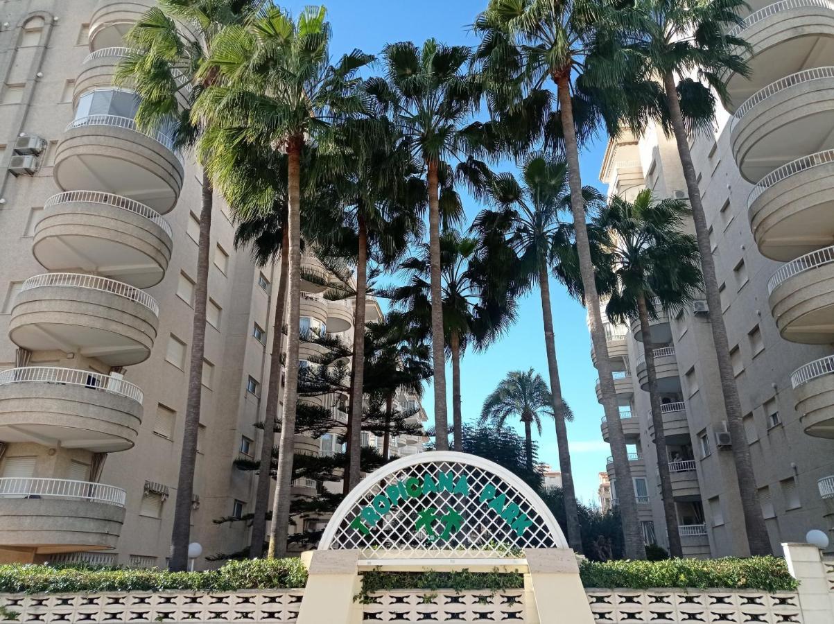 Tropicana Park Solo Familias Serviplaya Gandía Esterno foto